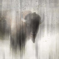 Antique Wildlife Buffalo Fine Art Print