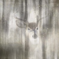 Antique Wildlife Deer 01 Fine Art Print
