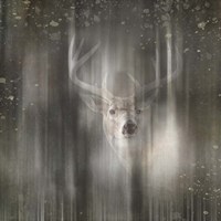 Antique Wildlife Deer 02 Fine Art Print