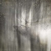 Antique Wildlife Elk Fine Art Print