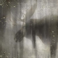 Antique Wildlife Moose Fine Art Print