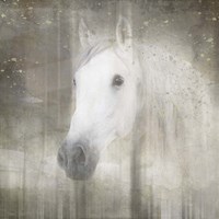 Antique Farm 031 Fine Art Print