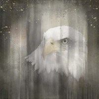 Antique Wildlife Eagle Fine Art Print