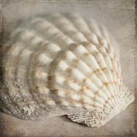 Under the Sea 04 Fine Art Print