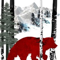 Winter Bear Framed Print