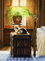 Warm and Fuzzy Fine Art Print