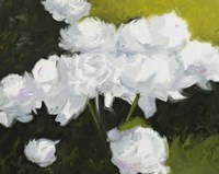 Peonies Fine Art Print