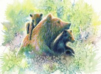 Mother Grizzly Bear Fine Art Print