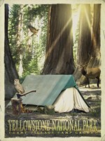 Redwood Camping Fine Art Print