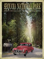 Sequioa National Park Fine Art Print