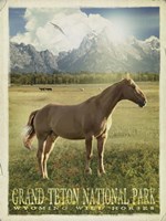 Wild Horse Fine Art Print