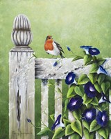 Sweet Morning Melody Fine Art Print