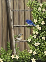 Weathered and Feathered Fine Art Print