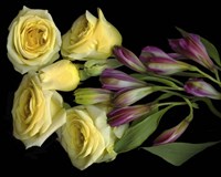 Yellow Roses With Alstromeria Fine Art Print