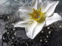 Frost Queen Fine Art Print