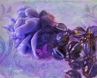 Sunset Rose Fine Art Print