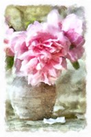 Afternoon Light Fine Art Print