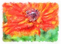 Ms Poppy Fine Art Print