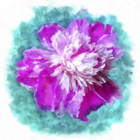 Pinky Fine Art Print