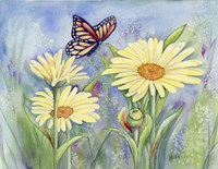 Butterfly Daisy Fine Art Print