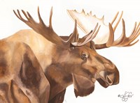 Moose Be Single Fine Art Print