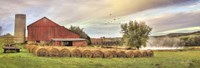 Tioga Hay Bales Fine Art Print