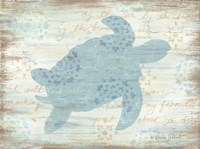 Ocean Turtle Framed Print