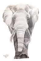 What Big Ears I Have Fine Art Print