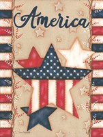 America Fine Art Print