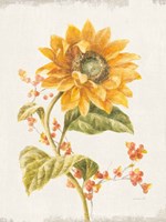 Floursack Autumn I v2 Crop Framed Print