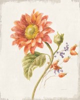 Floursack Autumn II v2 Framed Print