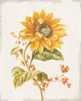 Floursack Autumn I v2 Framed Print