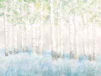 Soft Birches Fine Art Print