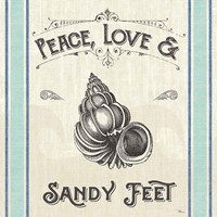 Coastal Farmhouse V Framed Print