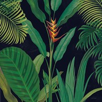Dramatic Tropical II Fine Art Print