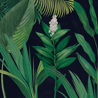 Dramatic Tropical I Framed Print