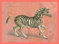 African Animals on Coral III Fine Art Print