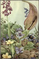 Garden Fantasy II Framed Print