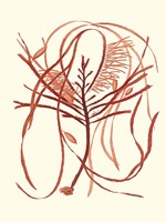 Coral Seaweed I Framed Print