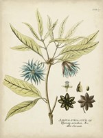 Eloquent Botanical III Fine Art Print