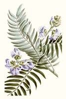 Graceful Botanical IV Framed Print