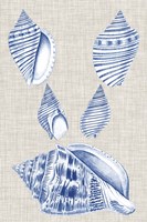 Navy & Linen Shells III Framed Print