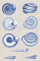 Navy & Linen Shells V Framed Print