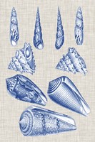 Navy & Linen Shells VI Framed Print
