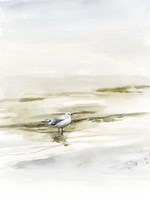 Coastal Gull I Fine Art Print