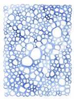 Indigo Plexus II Fine Art Print