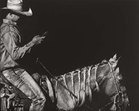 Cowboy Scratchboard II Fine Art Print