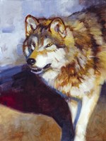 Wolf Study II Fine Art Print
