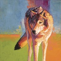 Wolf Study III Fine Art Print