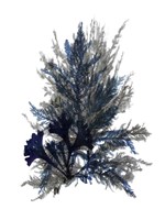 Ocean Bloom II Fine Art Print